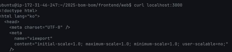 AWS EC2로 SSR 서버 배포하기