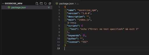 생성되는 파일 하나(package.json)